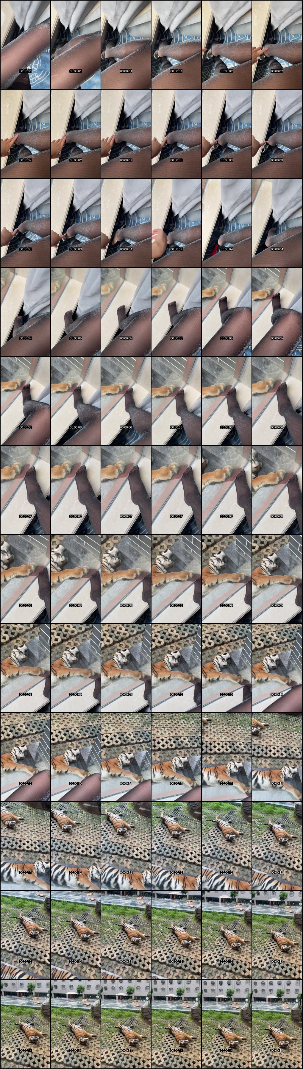 网红阿朱私拍合集爆燃_写真诱惑双人啪啪全记录_激情瞬间让你欲罢不能