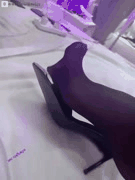 顾灵曦巨乳外围绿茶婊淫语撩人_一对一口交后入双人激战_被金主爆菊高潮喷射