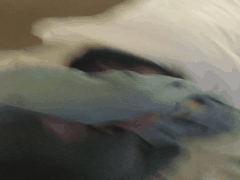 甜美网红池鱼Lisa酷似景甜 活好玩的花 187部最新视频合集不看遗憾