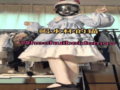 喝水杯的猫抖音风裸舞奶水狂飙50部精选合集