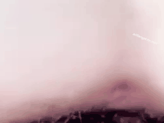 笨蛋初初微密圈巨乳肥臀VIP视频合集 - 国产网红福利