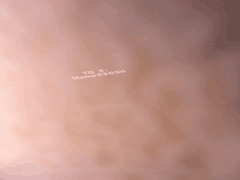 momo33094携娇妻寻单男3P狂欢_床上瘫软高潮不止