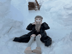 超萌粉粉小狗来认领_网红屁小六的宠物日常