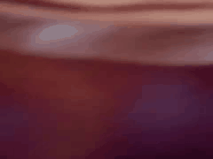 极品风骚网红主播小野老湿色播诱惑11V