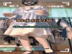 喝水杯的猫抖音风裸舞奶水狂飙50部福利合集