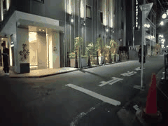 东京夜游：新宿歌舞伎町爱酒店街与大久保公园的放松散步