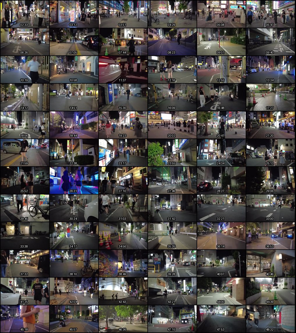 东京夜游：新宿歌舞伎町爱酒店街与大久保公园的放松散步