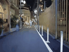 东京夜游：新宿歌舞伎町爱酒店街与大久保公园的放松散步