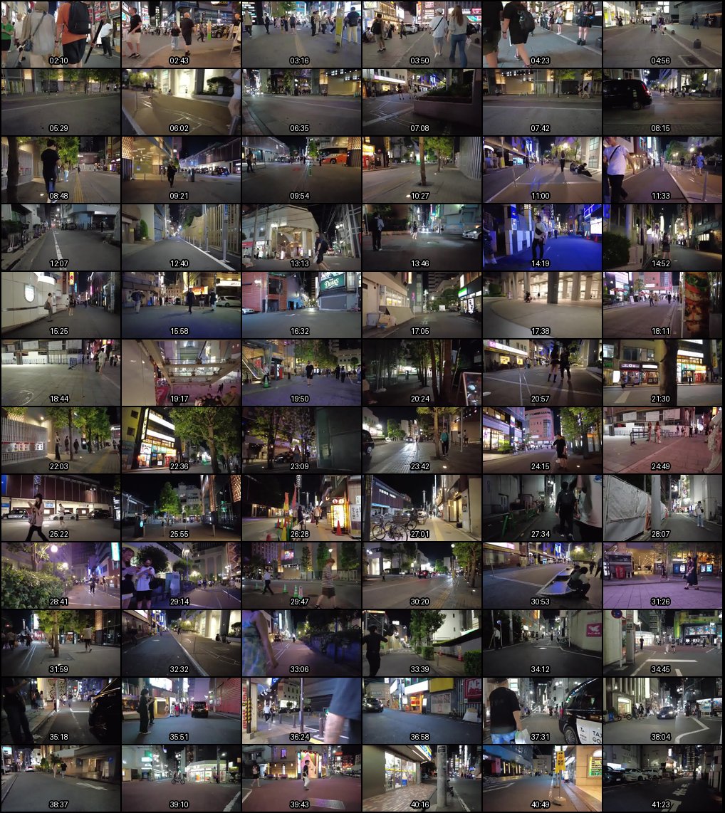 东京夜游：新宿歌舞伎町爱酒店街与大久保公园的放松散步