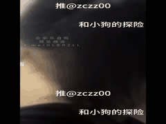 推特性爱高手“小狗”的刺激探险游戏！