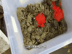 广州城中村奇遇：200元寻爱之旅，揭秘底层生活真实状态｜City Walk探索