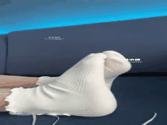 酥小强八月超火合集：网红福利大放送