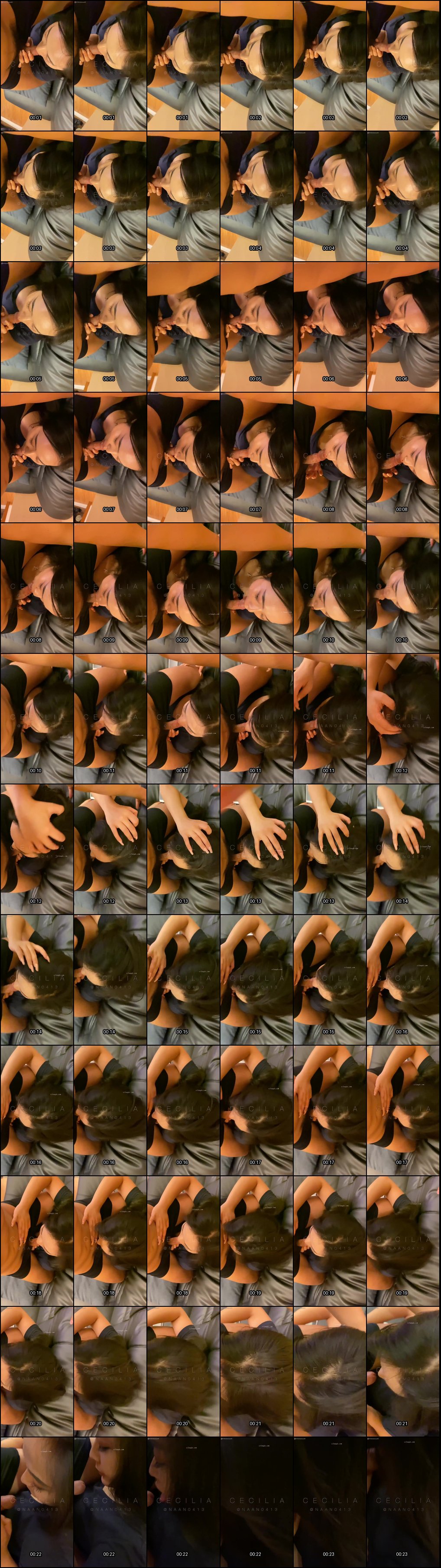 神秘金主包养极品气质模特CECILIA推特私密视频曝光