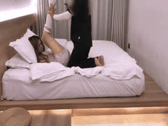 东坡先生露脸首秀：每日优选精选视频