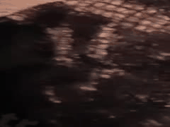 犬久DogNine露脸王道：每日精选诱惑视频