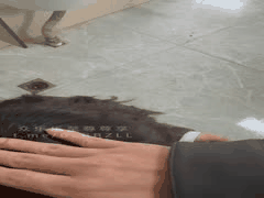 红尘妃子一骑绝尘热辣表演第一弹