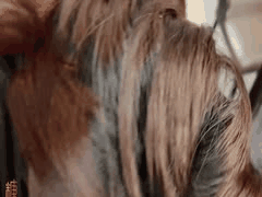 林婉婉与雅雅米妮劲爆新作合集全曝光