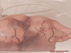 饼干姐姐的诱惑三次元NSFW视频