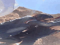 91玉儿早期大胆自慰视频，高清修复！老网红多场景人妻真敢玩