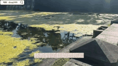 校园白月光女神反差自慰高颜值极品身材脱衣呻吟暗恋对象私密诱惑让你血脉喷张