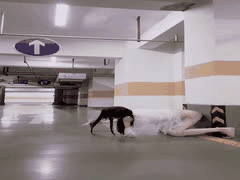 地下车库大胆露出调教自慰，激情高潮一触即发