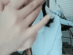 极品福利姬诗柔涂鸦少女自慰肛交视频合集5