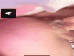 异地女友视频自慰狂欢！露脸插穴喷白浆，掰开骚逼求老公大鸡巴