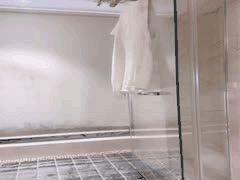 推特深夜直播：萝莉主播透明蕾丝自慰，跳蛋震动高潮潮喷沦为肉玩具