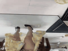 黄袍丝袜高跟诱惑：假阳具难解饥渴，内心渴望真枪实弹塞满