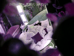 返校季偷拍极品舞蹈学妹_火辣身材完美配合各种姿势_激情诱惑欲罢不能