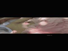 摄影师私拍套路大揭秘！8-10期最新两期劲爆内容