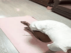 摄影师私拍套路曝光！8-10期最新两期美女模特私密瞬间