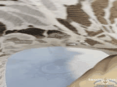 28岁极品少妇私拍诱惑：家中情趣瑜伽，小树林全裸狂野超清精品