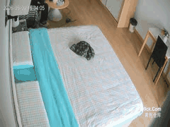 酒店偷拍：健硕猛男激情猛干好色欲女，花式姿势高潮迭起
