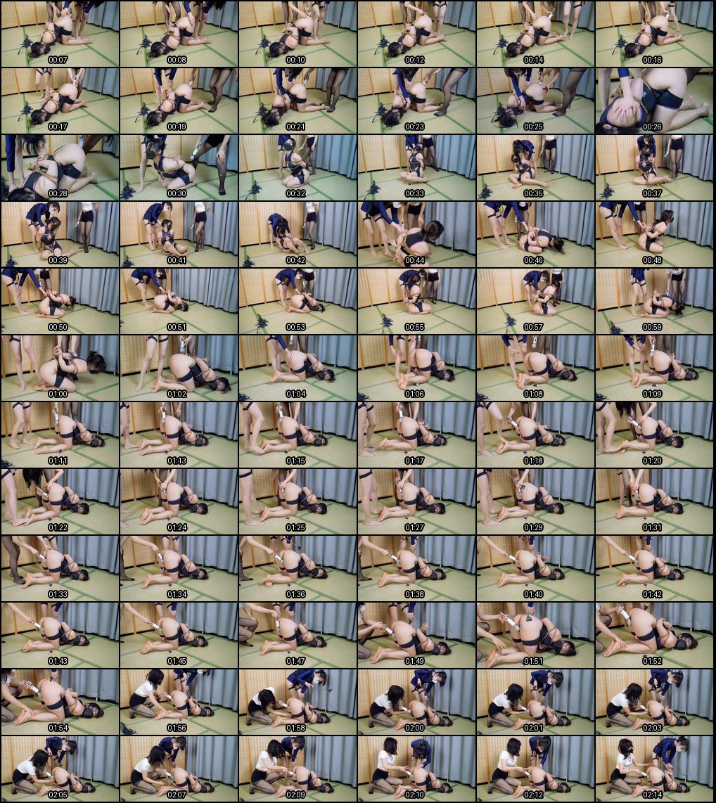 英雄召唤：激情三次元NSFW角色扮演