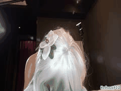 NeCos COS熊猫诱惑：VIP打赏专属福利视频