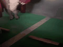 美女原味丝袜高跟诱惑，恋物小咖私藏必看