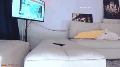 韩国知名主播青草裸舞精彩合集11部震撼呈现