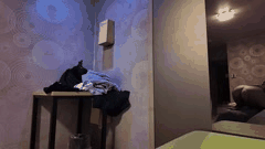 韩国蜜桃臀网红情侣野外激情缠绵 户外性爱大尺度诱惑让人欲罢不能