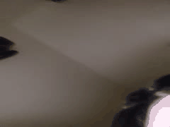 韩国高颜值女主播私拍爆出！自慰约啪反差婊舔精销魂模样