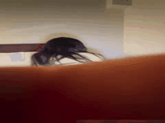 广东白虎美女出轨黑人！戴狗链深喉猛干内射，男友几年感情成空太惨