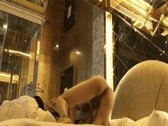 刺青男友酒店约炮身材火辣小女友！想玩新花样操屁眼遭坚决拒绝，情侣泄密原创曝光