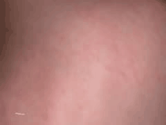 fabjous泄密群7月重磅更新！多位高颜值御姐女神约炮实录，女神变母狗的真实黑料曝光