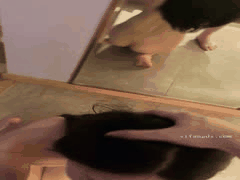 推特约啪大神第二弹：7月最新露脸高颜值女神约炮激情合集