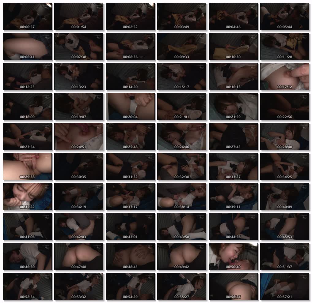 NHDTB-83602夜行バスで声も出せずイカされた隙に生ハメされた女はスローピストンの痺れる快感に理性を失い