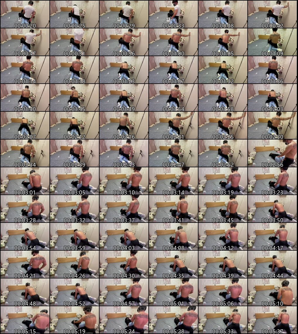 一条肌肉狗 最新，操巨臀母狗、瑜伽裤3