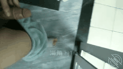 海角社区 乱伦 英勇小钢炮 合集1小钢炮和大嫂的鱼水之欢7