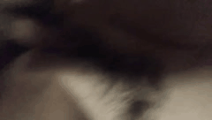 人造18号 贵阳陪玩人造18号挑战不良少年与弟弟