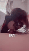 福利姬 约炮 调教 肥牛 【超级精品，女神萝莉】大神肥牛 调教M萝莉，萝莉各种姿势被爆操，深喉 调教，富人的精盆！12
