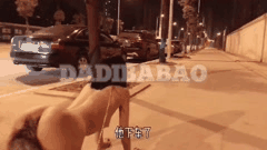 福利姬 调教 DADIBABAO